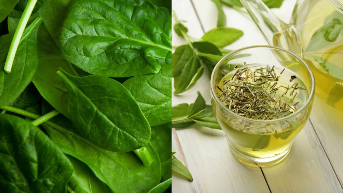 Plante pour améliorer la vue et diminuer la fatigue des écrans